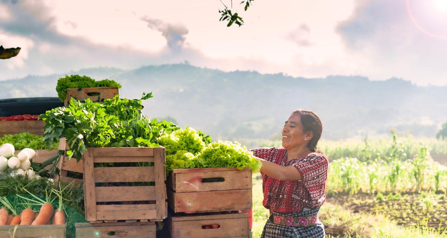 Traditional farming