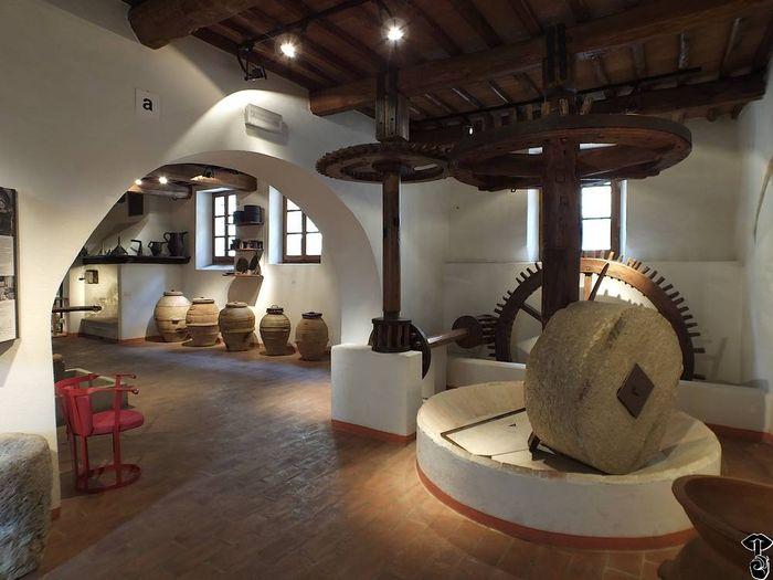 SAPIO Seggiano museo olio di oliva 