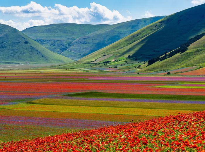 SAPIO Umbria Colfiorito